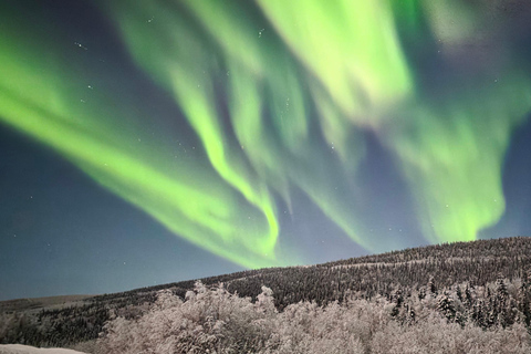 ألاسكا: جولة خاصة لمشاهدة الشفق القطبي
