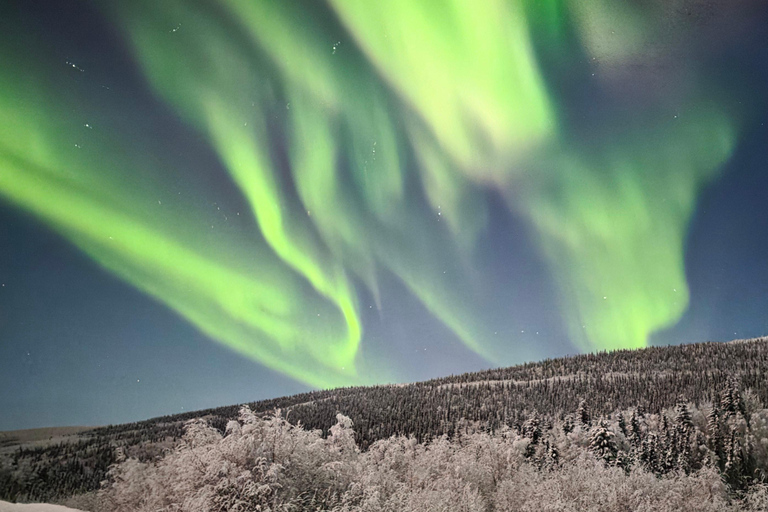 ألاسكا: جولة خاصة لمشاهدة الشفق القطبي