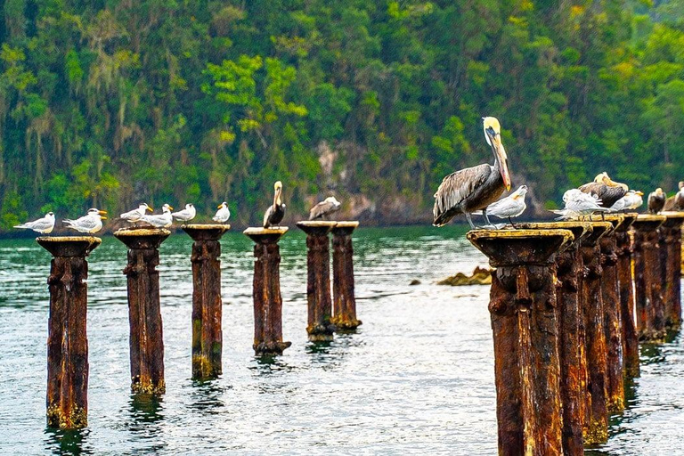 Punta Cana: Los Haitises Park, Horseback Ride & Lunch Tour