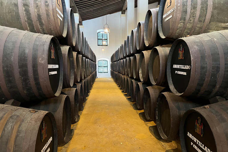 Cadiz: Private Tour with Wine Tasting
