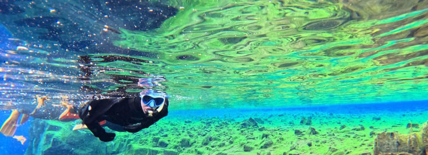 Silfra : Excursion de plongée avec masque et tuba dans les fissures avec photos sous-marines