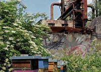 Völklingen, Völklingen Ironworks World Heritage Site Ticket - Housity