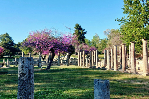 Olympia: Exclusive Tour with a Professional Archaeologist