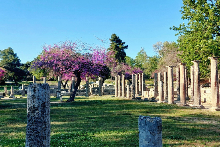 Olympia: Exclusive Tour with a Professional Archaeologist