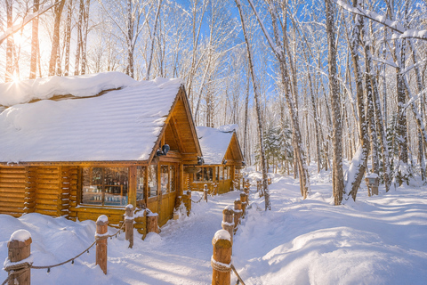 From Sapporo: Snow Fun, Shirahige Falls & Ningle Terrace