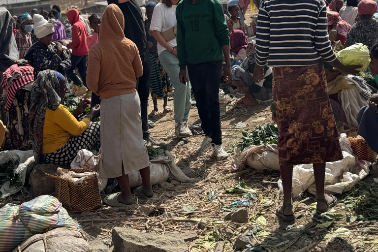 Addis Ababa: Debre Libanos, Gelada Baboons, & Gorge Tour