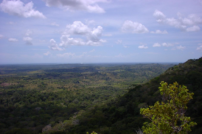 Visite d'une jounée des collines de Shimba avec le sentier naturel de Shifoga