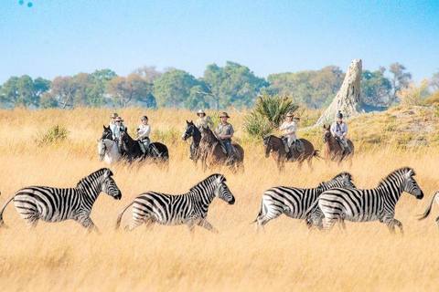 Marloth Park: Guided Horseback Safari with Wildlife Spotting