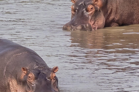 Kampala: 2-Day Lake Mburo National Park Safari Tour