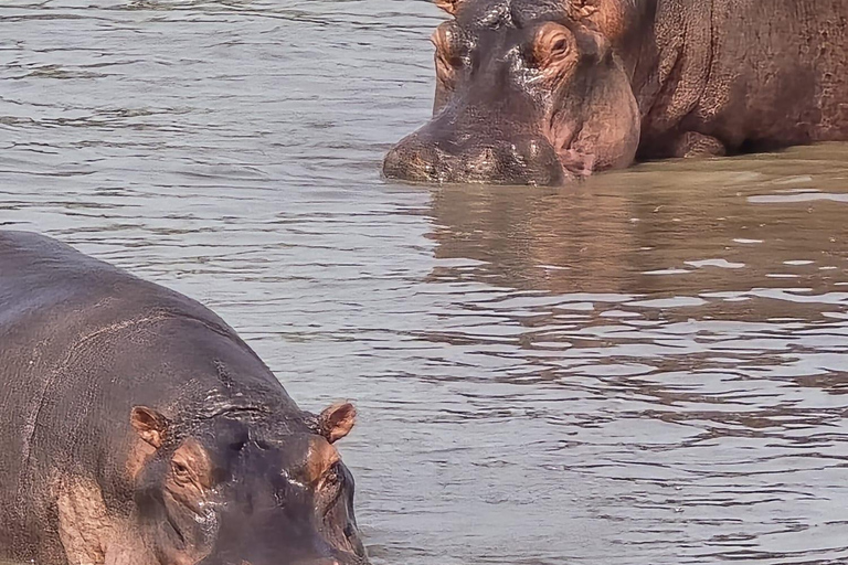 Kampala: 2-Day Lake Mburo National Park Safari Tour