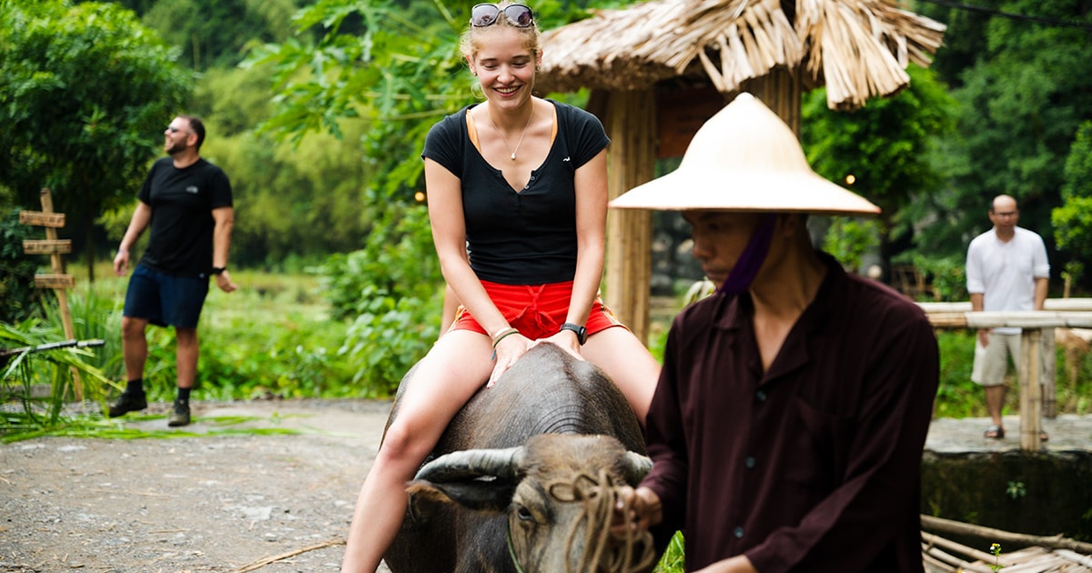 Best Family & Friend Day Trips and Activities in Vietnam 65 Ninh Binh: Buffalo riding, rice planting group tour