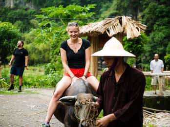 Ninh Binh: cavalcata di bufali e tour di gruppo sulla piantagione di riso
