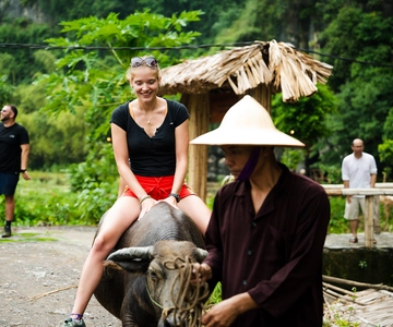 Ninh Binh: passeio de búfalo, passeio em grupo de plantio de arroz