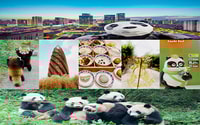 Chengdu downtown essences private day tour - Housity