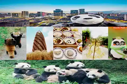Chengdu downtown essences private day tour