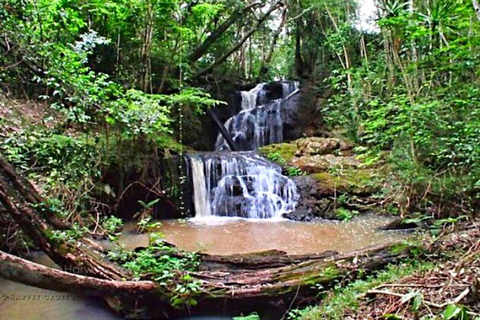 Caminhada na Floresta Karura e passeio de bicicleta