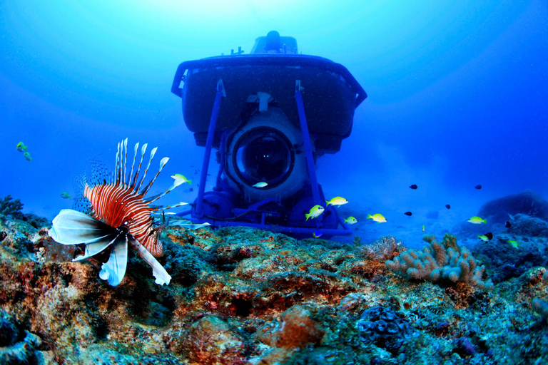 Triolet : plongée sous-marine avec transferts depuis l&#039;hôtelTriolet : Plongée sous-marine avec transferts depuis l&#039;hôtel