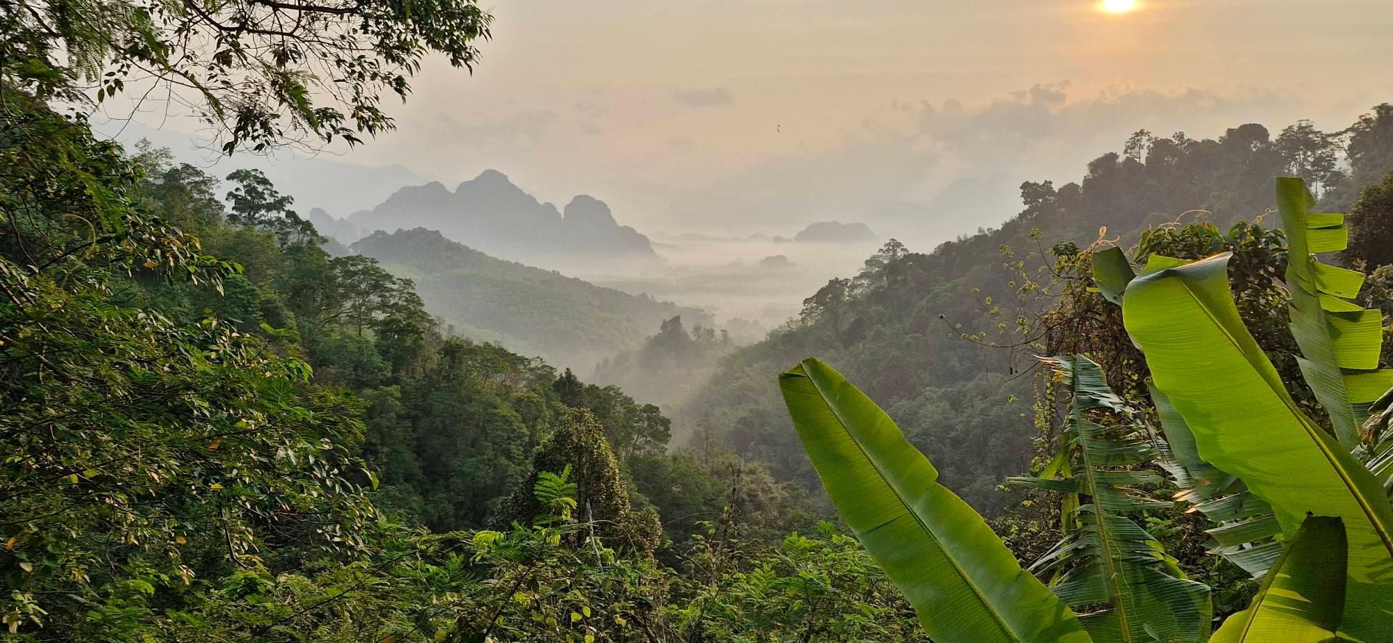 Khao Sok Nationalpark: 3-tägige Natur- & Dschungeltour am Cheow-Lan-Lake