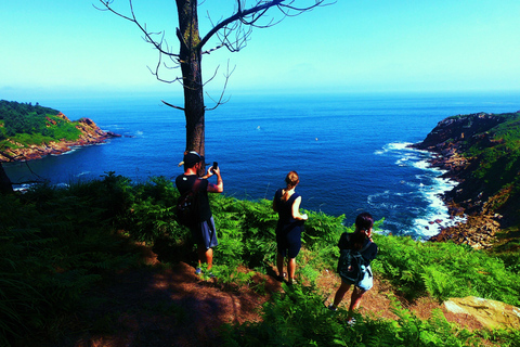 San Sebastián: Hike in the North Way of Saint James