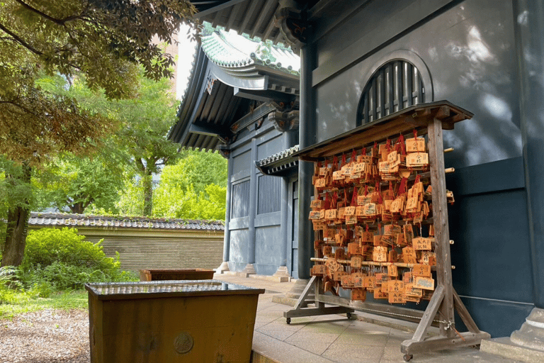 Tokyo Shrine & Temple Tour: Explore Hidden Spiritual Gems