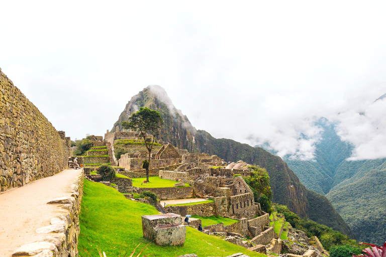 From Cusco: Excursion to Machu Picchu with Train included From Cusco: Day Trip to Machu Picchu with Train Included