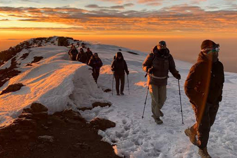 Mount Kilimanjaro Trekking 6 Tage Lemosho Route6 Tage Kilimanjaro Trekking über die Lemosho Route