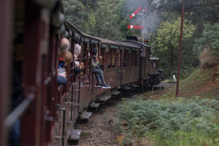 Melbourne: Tour di un giorno della ferrovia Puffing Billy e della parata dei pinguiniPacchetto impermeabile/parrucca