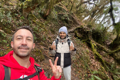 Pokhara: 4 dias de caminhada guiada pelo Mardi Himal