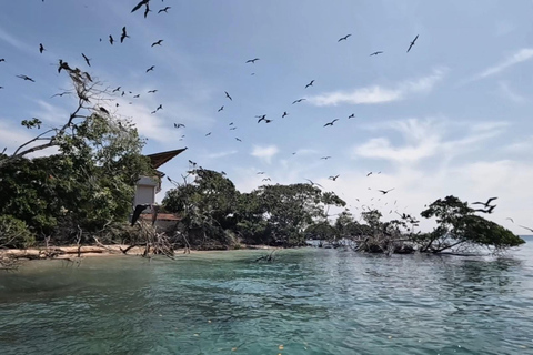 Cartagena: Excursion to the Rosario Islands and Playa Blanca with lunch