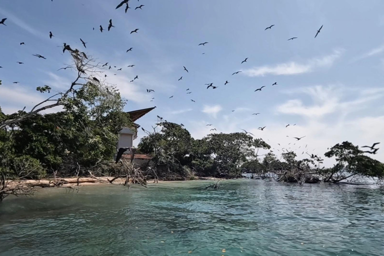 Cartagena: Excursion to the Rosario Islands and Playa Blanca with lunch