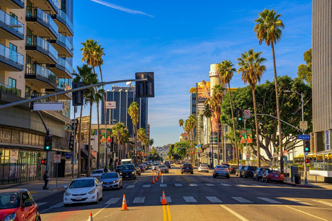 Los Angeles: Private Full-Day or Half-Day City Tour Los Angeles: Private Full-Day City Tour