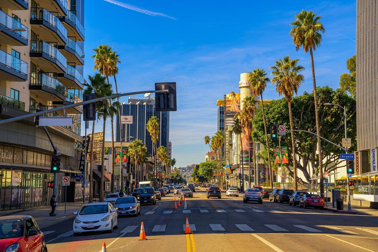 Los Angeles: Private Full-Day or Half-Day City Tour Los Angeles: Private Full-Day City Tour