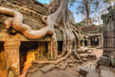 Siem Reap & Battambang: 8 Tage Abenteuer in der kambodschanischen TierweltSiem Reap & Battambang: 8 Tage kambodschanische Wildnisanzeige