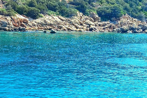 Tour en barco privado por las bahías de Bodrum con paradas para nadar