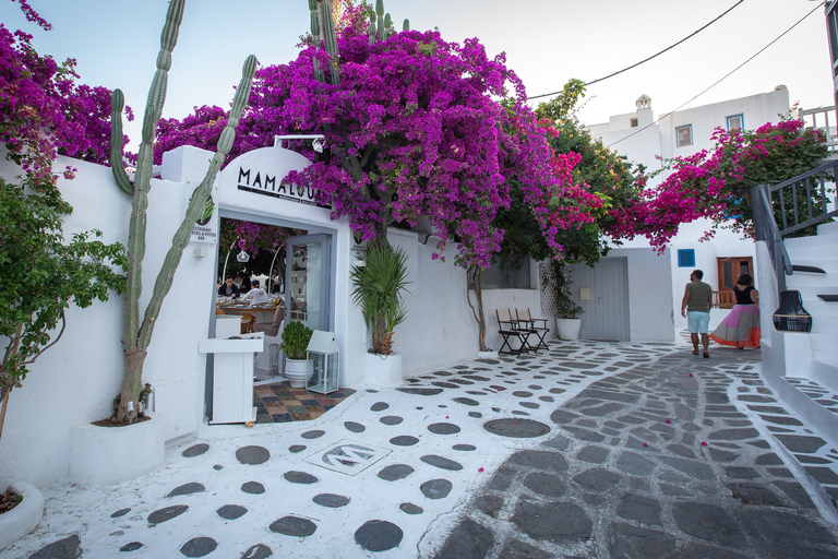 Mykonos: Mykonos Town Private Walking Tour