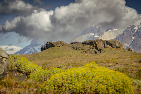 Torres del Paine: Aventura Express (2 dias)