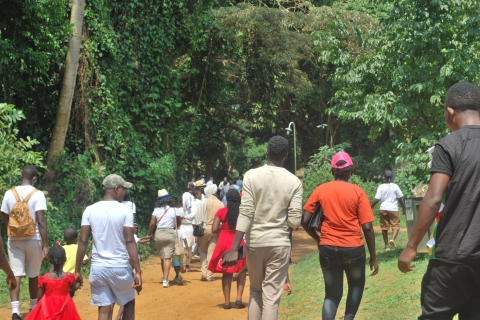 1-dniowa piesza wycieczka z przewodnikiem po mieście Entebbe