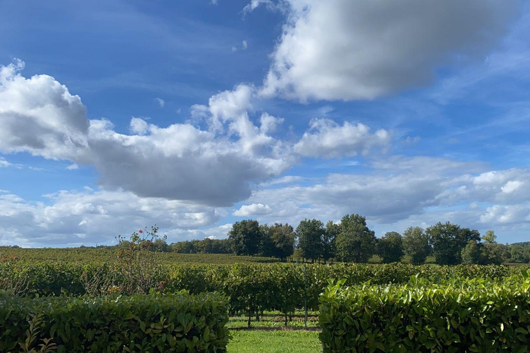 Vérac: Château L&#039;Éperon Weinverkostung und Meisterklasse