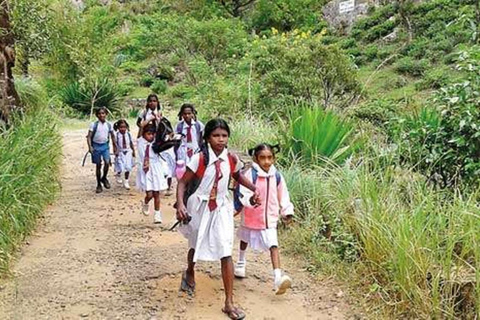 Sri Lanka : 6-Day Authentic Experiences Private Tour