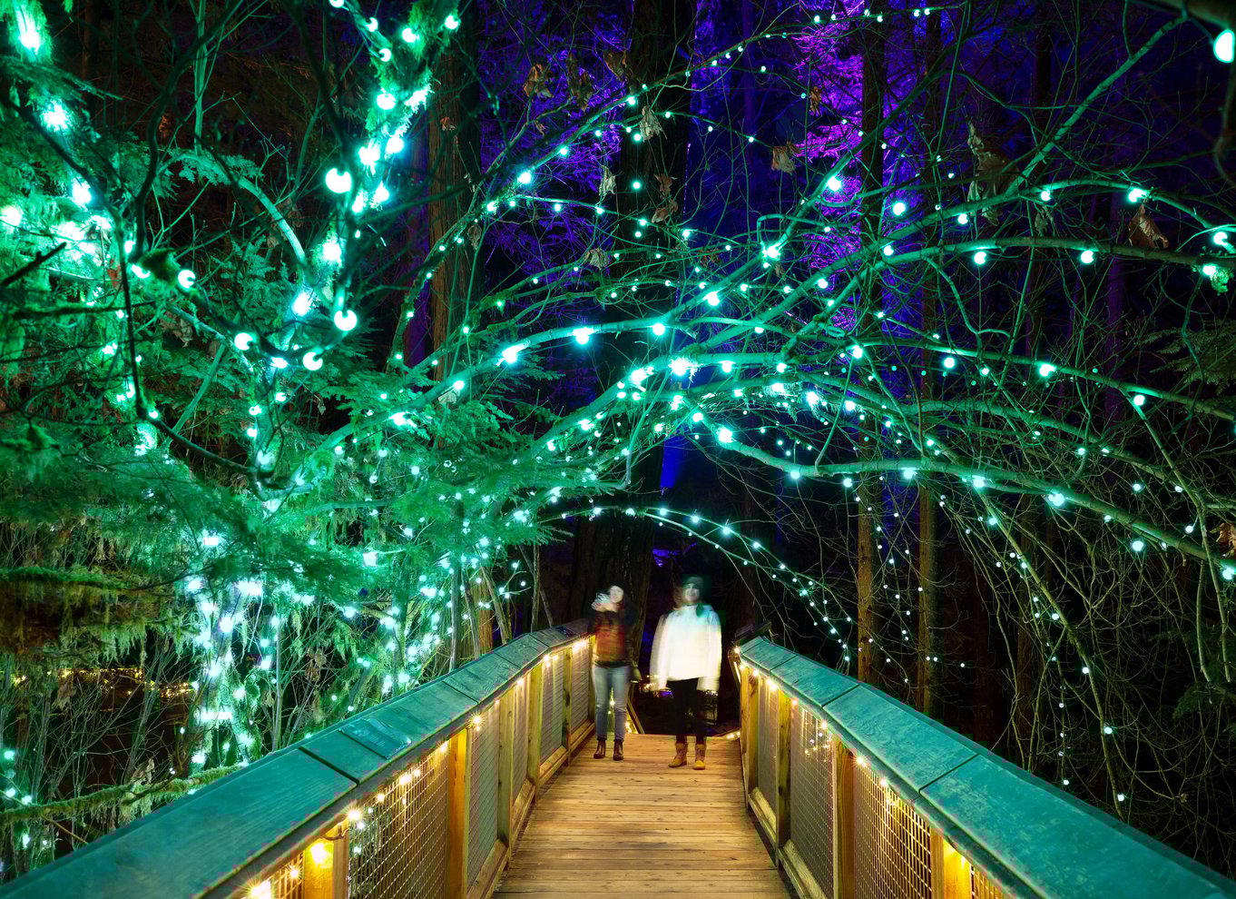 Vancouver: Capilano Suspension Bridge Park billet