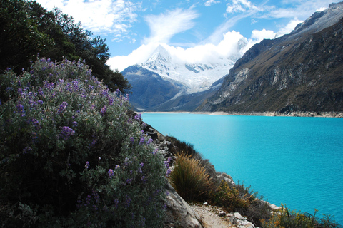从瓦拉斯出发：前往梦幻帕龙湖的景观探险之旅从瓦拉斯出发：前往神奇的帕龙湖的景观冒险之旅