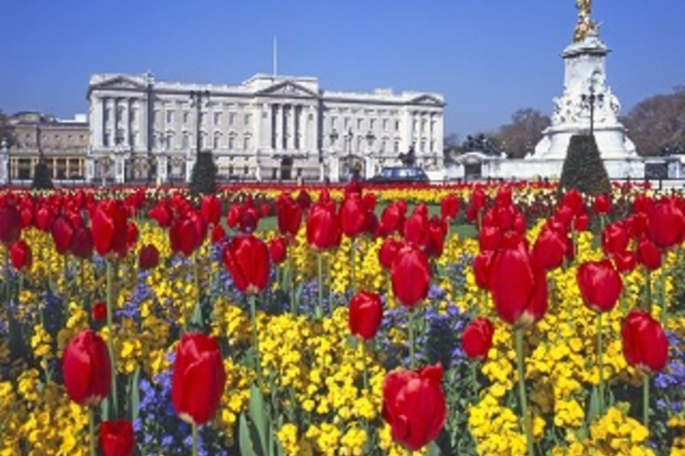 London: Wonderful Westminster & Windsor Castle Tour Wonderful Westminster & Windsor (Private)