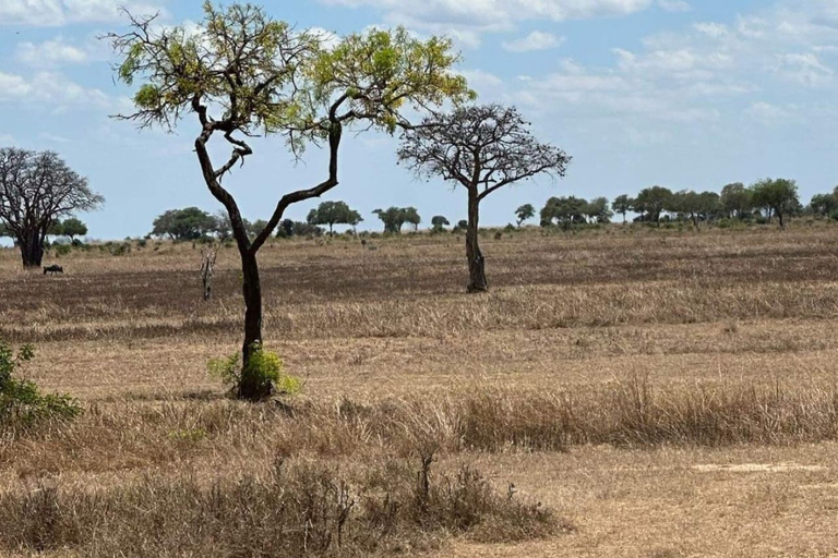 Excursión de un día de Zanzíbar a Mikumi : Safari de fauna salvajeDesde Zanzíbar Excursión de un día a Mikumi : Safari de fauna salvaje