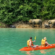 From Krabi: Unforgettable Full-Day Khao Sok Lake Adventure