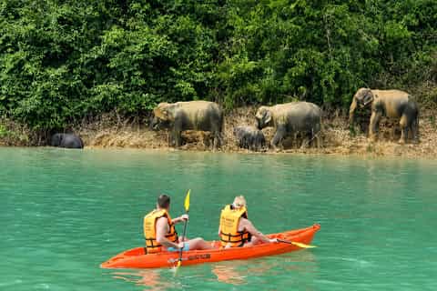 From Krabi: Unforgettable Full-Day Khao Sok Lake Adventure - Image 3
