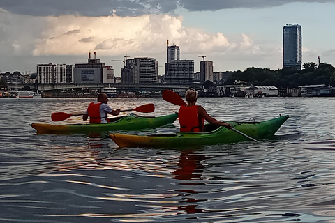 Belgrade: Great War Island Kayak Tour with Photos