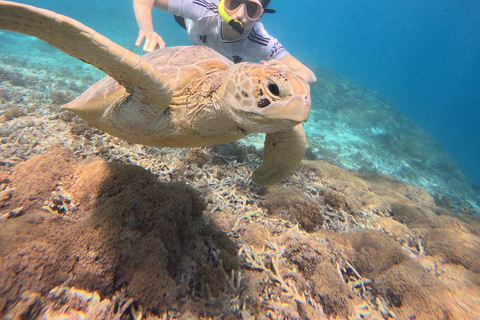 Gili Trawangan:Snorkeling Public Free Documentation