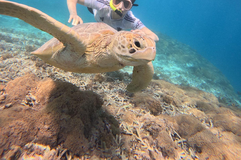 Gili Trawangan:Snorkeling Public Free Documentation