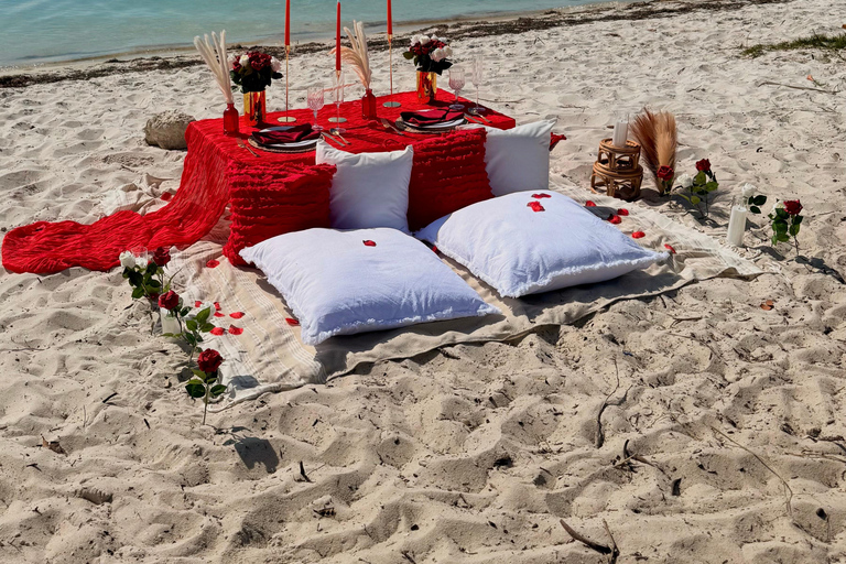 Luksusowy piknik na plaży w pobliżu Miami