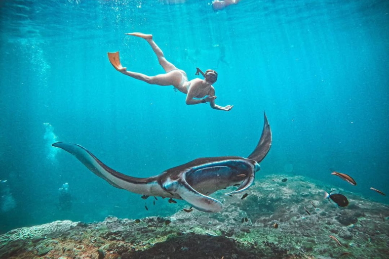Bali: Nusa Penida Island Tour and Snorkeling Adventure Private Nusa Penida Trip And Snorkeling Adventure